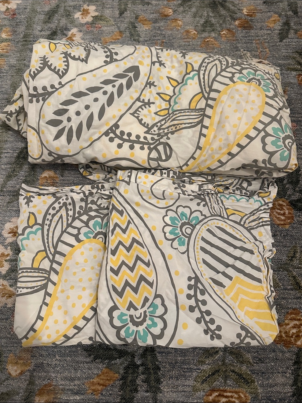 PBTeen Ana Paisley Full/Queen Duvet Cover & 2 Euro Shams 100% Cotton